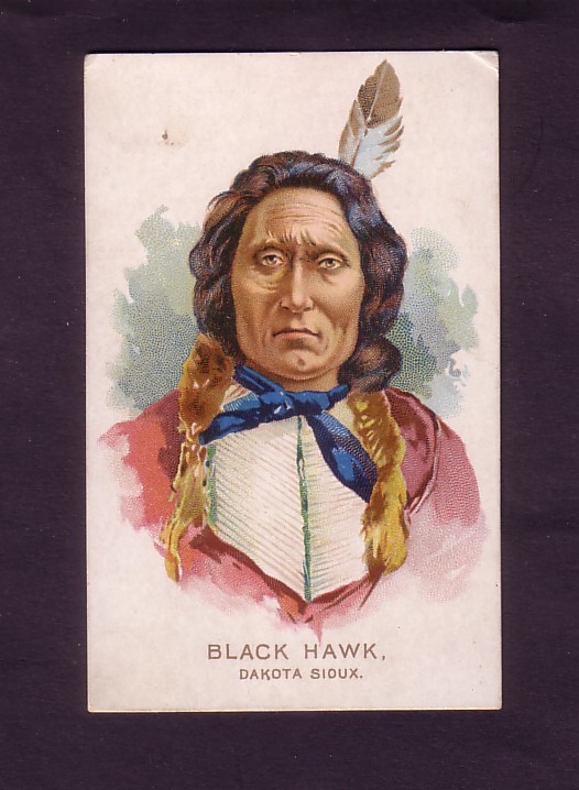 monarch black hawk.jpg